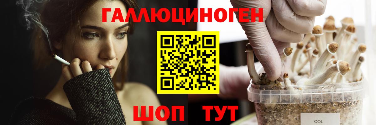 Тула  продажа наркотиков  Вход с VPN  Галлюциногенные грибы Magic Shrooms 